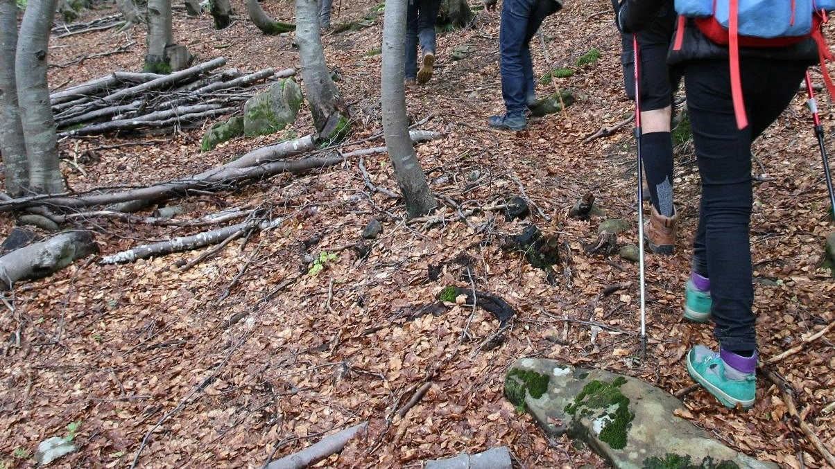 Trekking sui Monti Pisani lungo i sentieri dei partigiani, dei soldati anglo-americani e dei tanti sfollati: l’iniziativa del 24-25 agosto e 1-2 settembre Trekking sui Monti Pisani lungo i sentieri dei partigiani, dei soldati anglo-americani e dei tanti sfollati: l’iniziativa del 24-25 agosto e 1-2 settembre