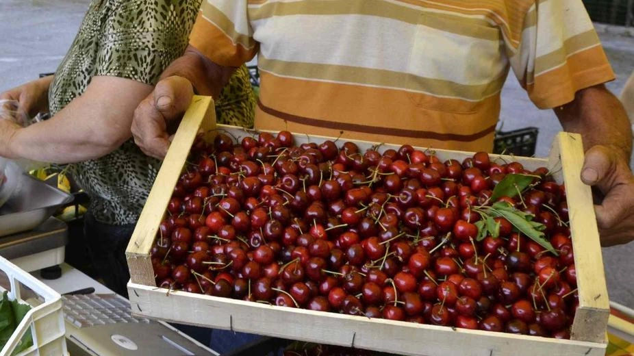 Demetra, la vecchia mostra della fragola