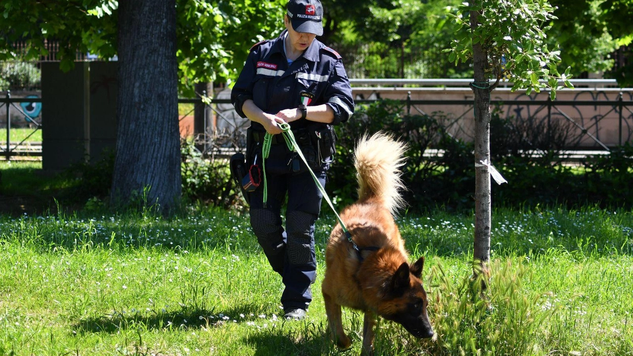 Spaccio e degrado, arrivano i rinforzi per i controlli nel parco delle Cascine Spaccio e degrado, arrivano i rinforzi per i controlli nel parco delle Cascine
