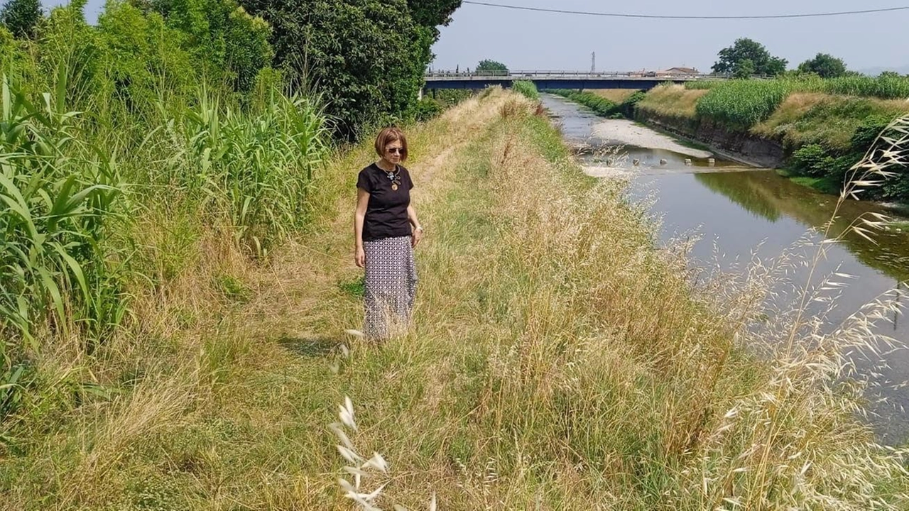 La situazione dell’argine dell’Ombrone a Bonelle La situazione dell’argine dell’Ombrone a Bonelle