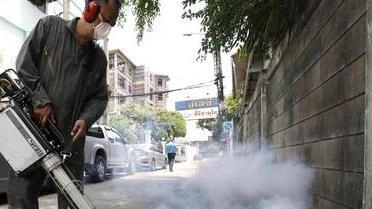 A Porto Santo Stefano è stato necessario attivare il piano di disinfestazione dopo la scoperta di un caso di Dengue A Porto Santo Stefano è stato necessario attivare il piano di disinfestazione dopo la scoperta di un caso di Dengue