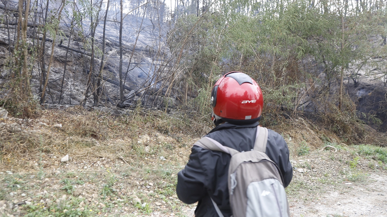 Lo scenario lunare apparso allo spegnimento delle fiamme Lo scenario lunare apparso allo spegnimento delle fiamme