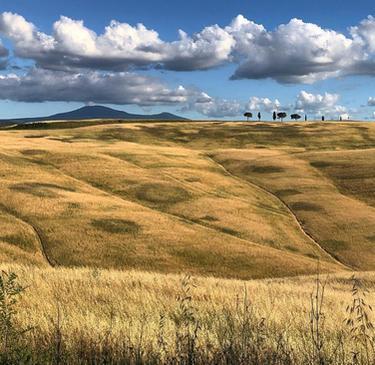 Grande estate tra cinema e spettacoli Grande estate tra cinema e spettacoli