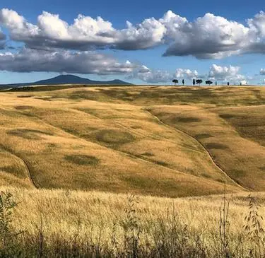 Grande estate tra cinema e spettacoli