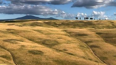 Luglio si conferma il mese centrale dell’estate e per Montalcino significa tanti appuntamenti culturali. Si comincia il 3 Luglio con...