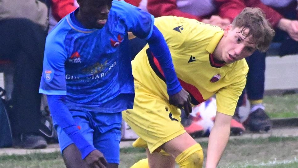 Zenith Prato: Kouassi resta, Banchelli in arrivo e mercato attaccanti in attesa