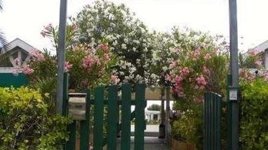 Lo storico stabilimento balnerare ’Bagno Marino’ a Marina di Carrara torna nella disponibilità del Comune Lo storico stabilimento balnerare ’Bagno Marino’ a Marina di Carrara torna nella disponibilità del Comune