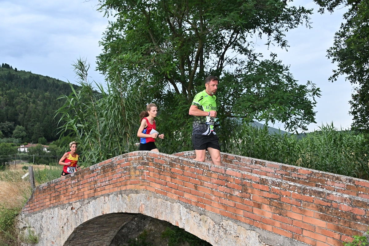 immagine di sfondo 15