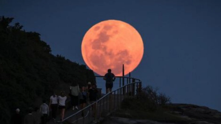 Superluna (foto Ansa) Superluna (foto Ansa)