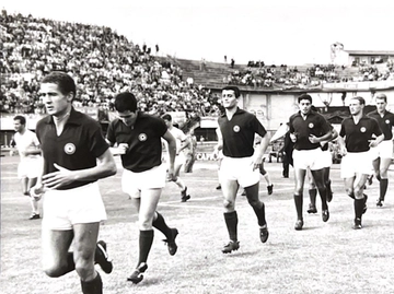 immagine articolo