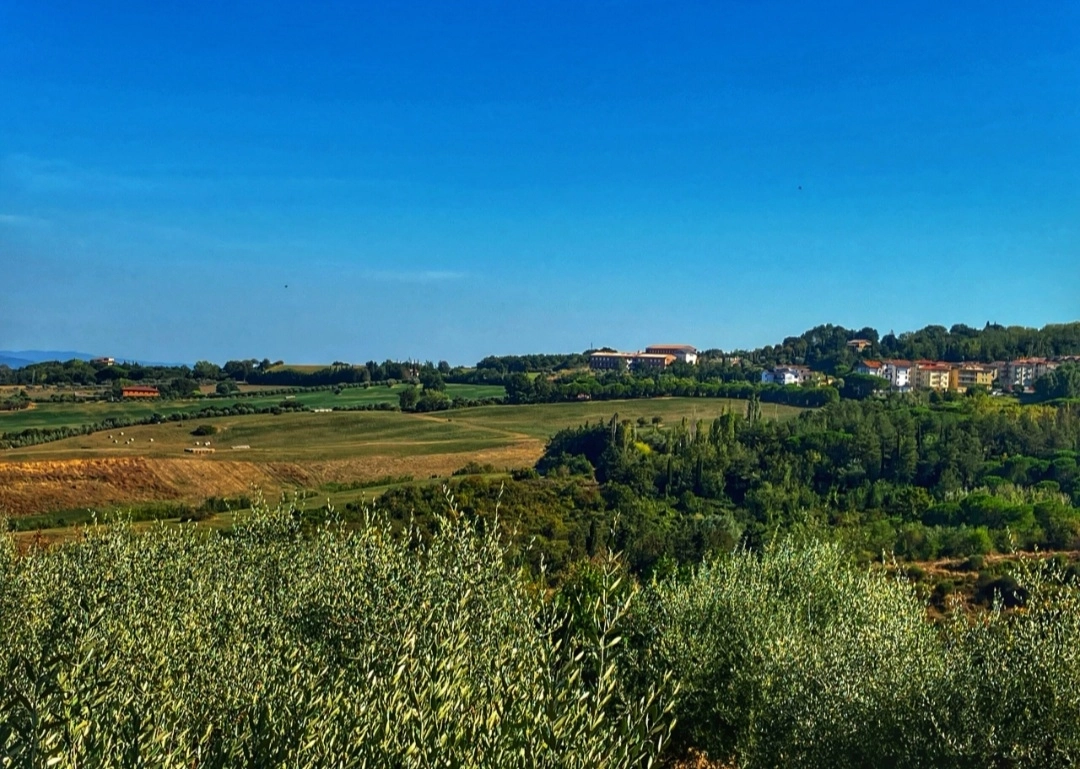 immagine di sfondo 1