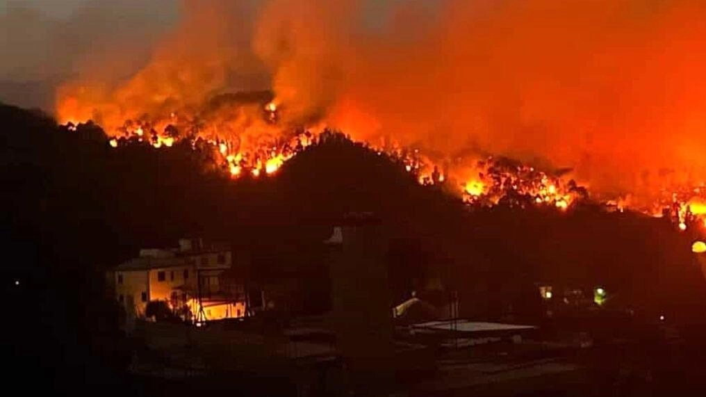 Un’immagine del tremendo incendio che devastò le colline di Massarosa nel mese di luglio del 2022 Un’immagine del tremendo incendio che devastò le colline di Massarosa nel mese di luglio del 2022