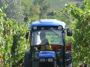 immagine articolo