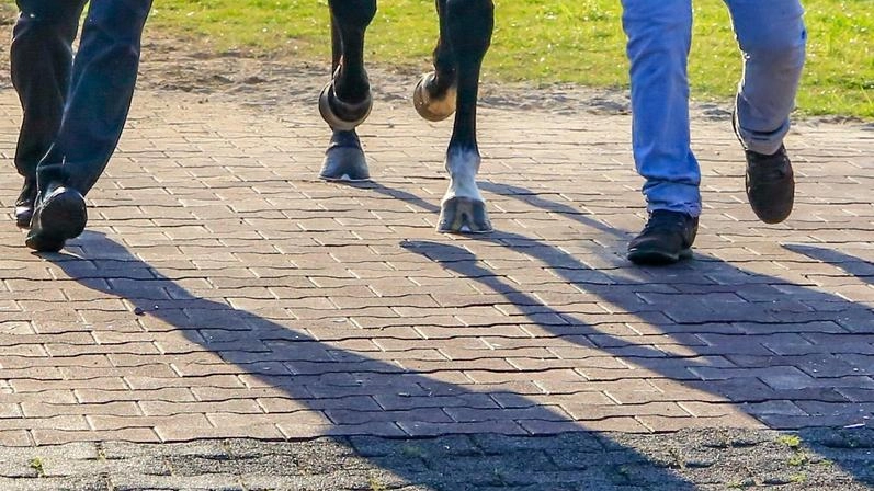 Un evento clamoroso si è verificato domenica scorsa nell’ippodromo romano delle Capannelle dov’era in programma la massima corsa di selezione... Un evento clamoroso si è verificato domenica scorsa nell’ippodromo romano delle Capannelle dov’era in programma la massima corsa di selezione...