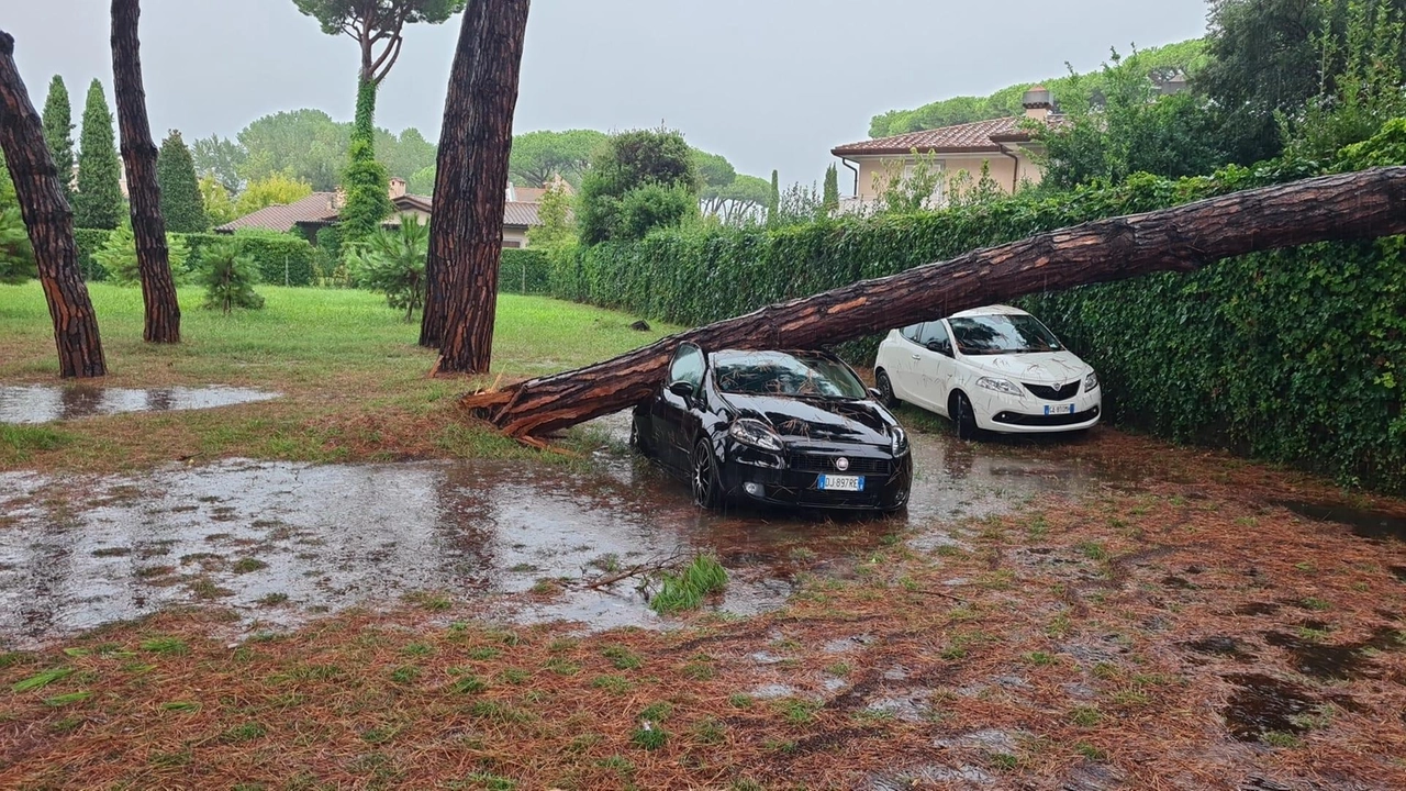 Criticità in molte zone. Tromba d’aria a Marina di Pietrasanta . Maxi chicchi di grandine e alberi crollati. Danneggiate auto a Forte dei Marmi. Criticità in molte zone. Tromba d’aria a Marina di Pietrasanta . Maxi chicchi di grandine e alberi crollati. Danneggiate auto a Forte dei Marmi.