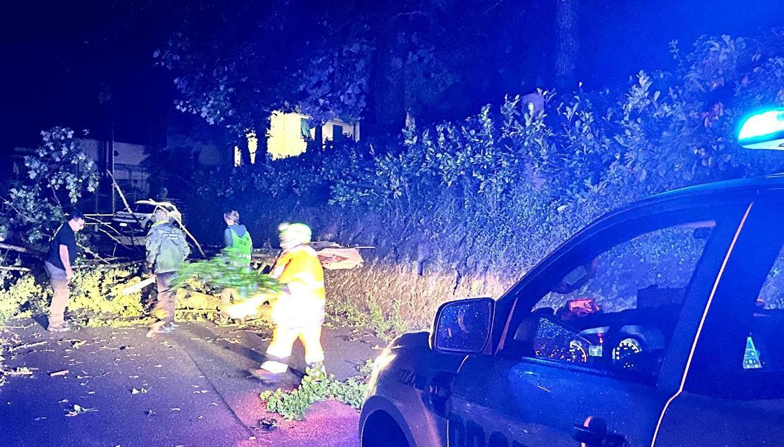 https://www.lanazione.it/image-service/view/acePublic/alias/contentid/NDc1NTcwNzMtYWI0My00/0/la-strage-degli-alberi-strade-chiuse-e-black-out-una-notte-di-emergenza.jpeg?f=1.90:1&w=1200