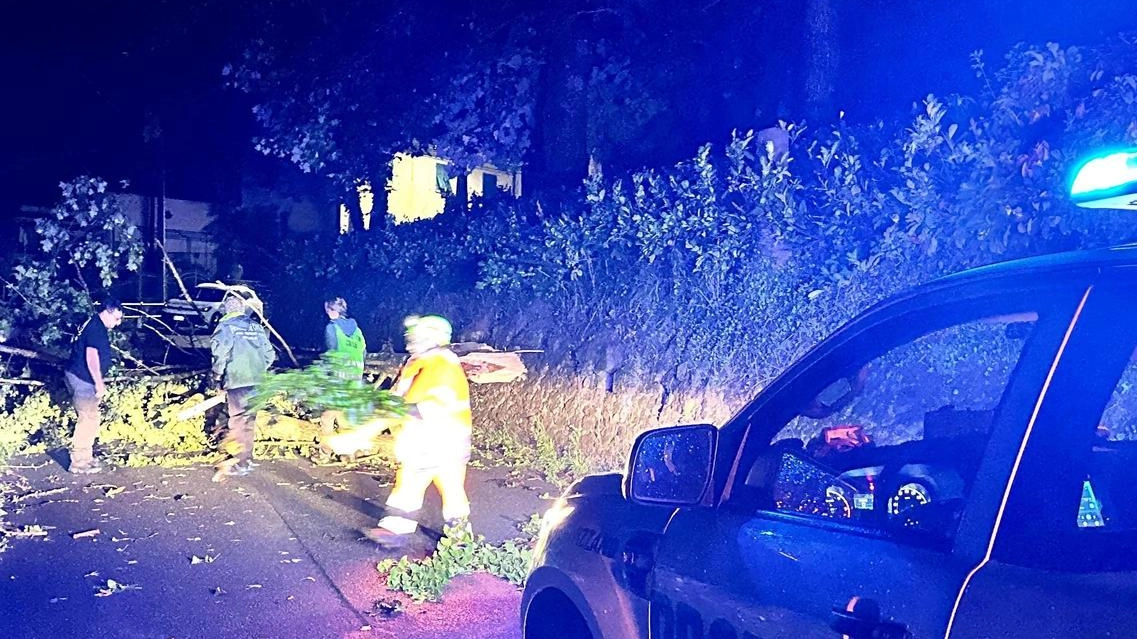 Vigili del fuoco e protezione civile al lavoro fino all’alba per rimuovere tronchi. Molti paesi sono rimasti al buio, senza linea telefonica e internet per diverse ore. Vigili del fuoco e protezione civile al lavoro fino all’alba per rimuovere tronchi. Molti paesi sono rimasti al buio, senza linea telefonica e internet per diverse ore.