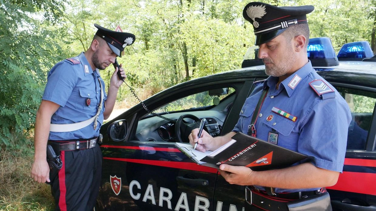 Tempestivo intervento dei carabinieri: ladri presi. in flagranza di reato Tempestivo intervento dei carabinieri: ladri presi. in flagranza di reato