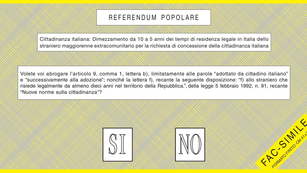 La scheda gialla (cittadinanza)