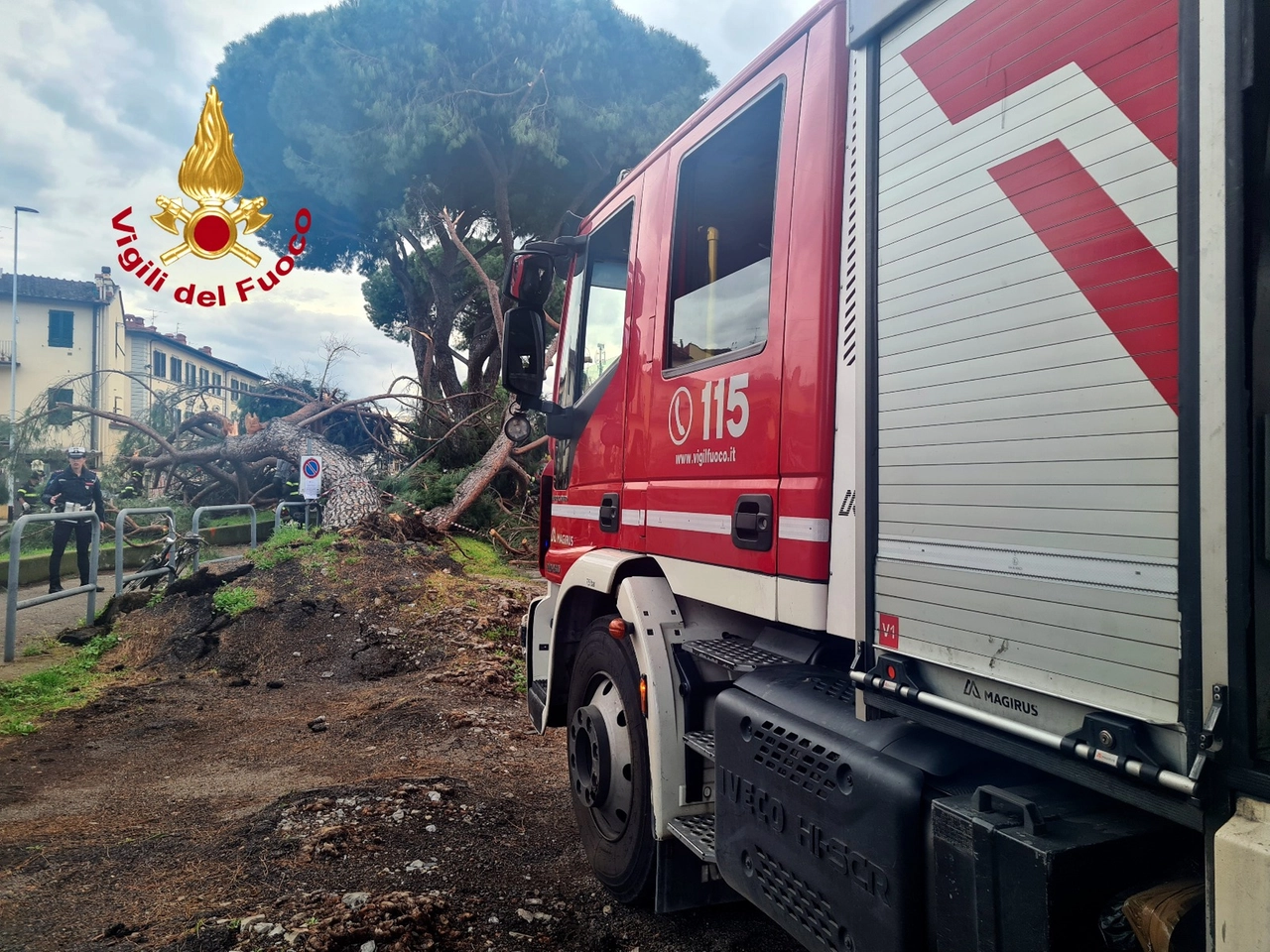 immagine di sfondo 3