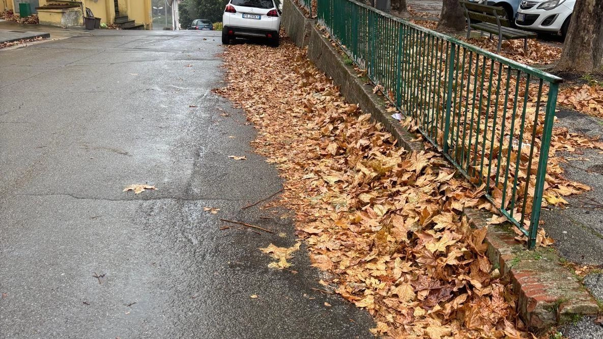 La Lega attacca sulla frazione di Stibbio. "Da tempo evidenzia evidenti problematicità, strade e piazze del centro sono in uno... La Lega attacca sulla frazione di Stibbio. "Da tempo evidenzia evidenti problematicità, strade e piazze del centro sono in uno...