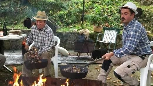 Tutto pronto per il grande evento nel borgo di Regnano, a Casola in Lunigiana: tradizione e ricette tipiche con la castagna protagonista Tutto pronto per il grande evento nel borgo di Regnano, a Casola in Lunigiana: tradizione e ricette tipiche con la castagna protagonista