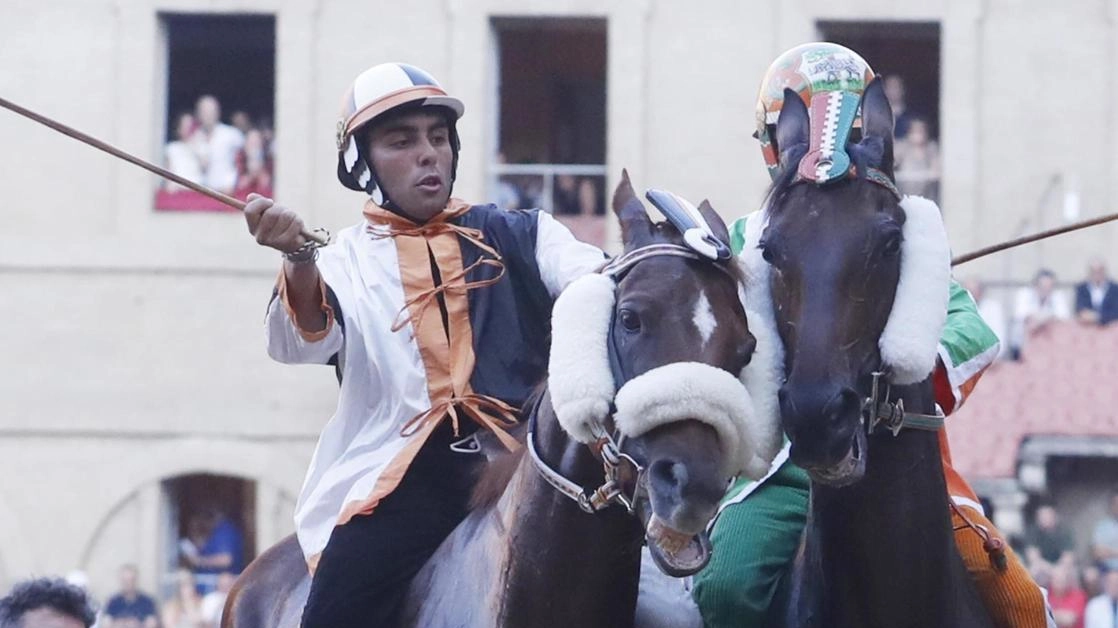 Shardana. su Ares Elce. nella Lupa E’ partito bene portandosi a ridosso. dei cavalli di punta ma poi è stato impanciato a San Martino, cadendo rovinosamente Shardana. su Ares Elce. nella Lupa E’ partito bene portandosi a ridosso. dei cavalli di punta ma poi è stato impanciato a San Martino, cadendo rovinosamente