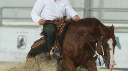 Adriano Meacci protagonista del reining mondiale