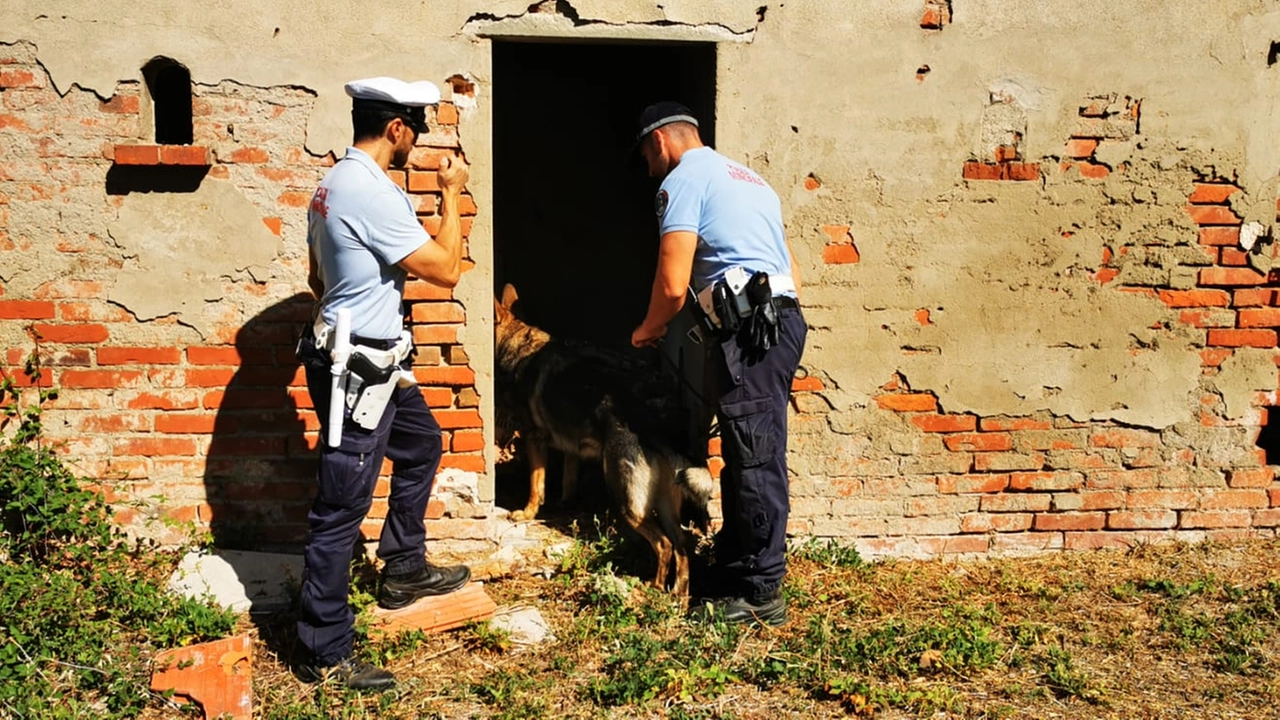 Le forze della Polizia Municipale di Pistoia impegnate in azione