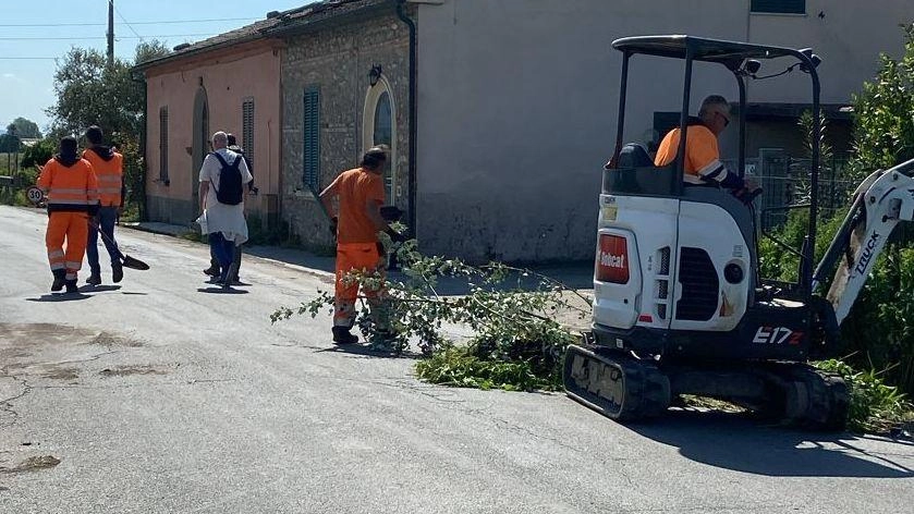 Viale del Melani, disagi dopo l’inizio dei lavori. "Ancora pochi giorni"