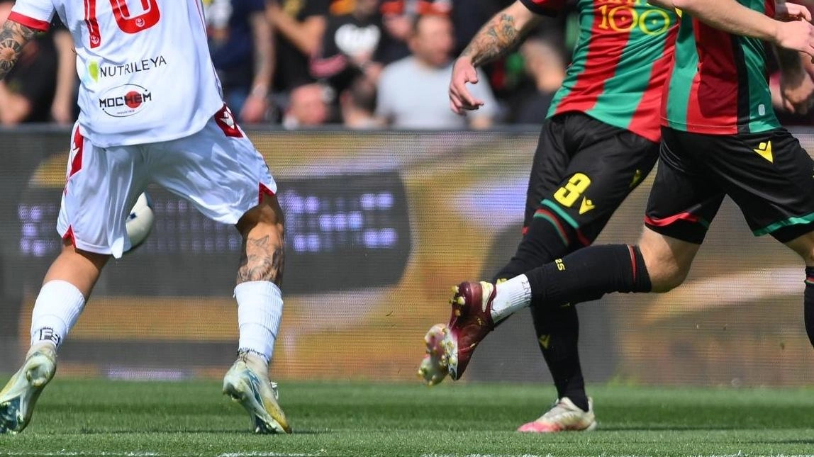 La Ternana è pronta per l’esordio nei play off (Pianetafoto) La Ternana è pronta per l’esordio nei play off (Pianetafoto)