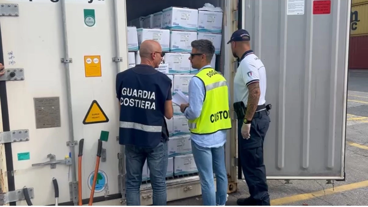 L'intervento sul container incriminato L'intervento sul container incriminato
