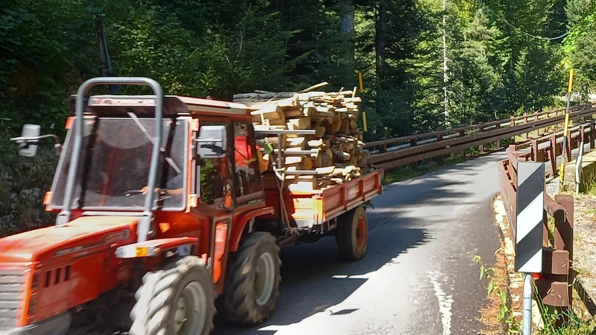 Incontro con i cittadini e con gli amministratori per fare il punto e trovare soluzioni. I lavori per il Mandrini sono rinviati a primavera ma il traffico sarà comunque riaperto. Incontro con i cittadini e con gli amministratori per fare il punto e trovare soluzioni. I lavori per il Mandrini sono rinviati a primavera ma il traffico sarà comunque riaperto.