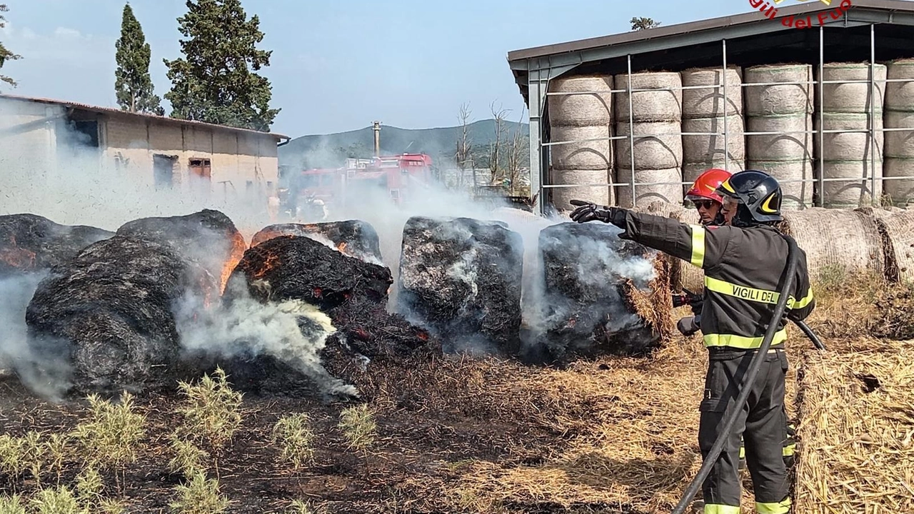 L'azienda agricola minacciata dall'incendio: in fumo le rotoballe (Fonte vigili del fuoco) L'azienda agricola minacciata dall'incendio: in fumo le rotoballe (Fonte vigili del fuoco)