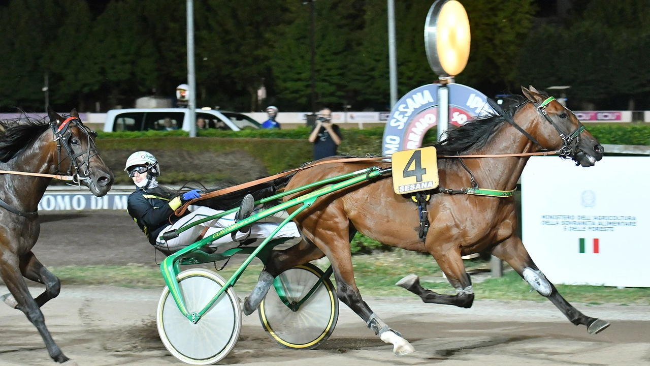 Il cavallo Goelicher St durante il gran premio al Sesana (foto Rosellini)