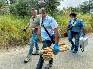 immagine articolo