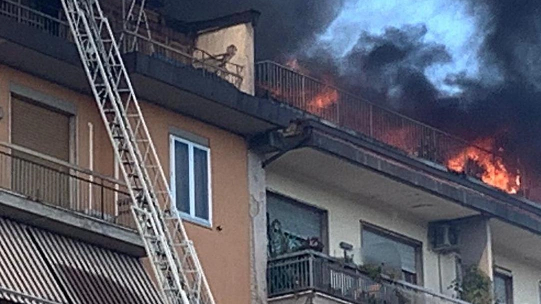 Famiglia evacuata dal condominio di lungarno Cristoforo Colombo a Firenze a causa di un incendio. Solo un nucleo ha accettato l'ospitalità del Comune, mentre l'abitazione è inagibile. Famiglia evacuata dal condominio di lungarno Cristoforo Colombo a Firenze a causa di un incendio. Solo un nucleo ha accettato l'ospitalità del Comune, mentre l'abitazione è inagibile.