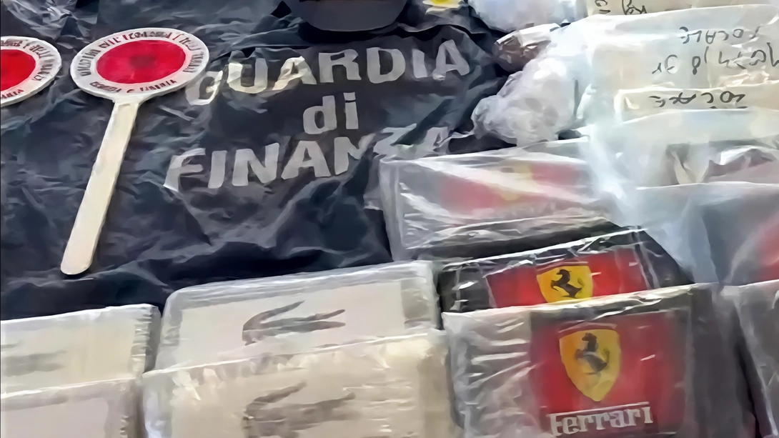 La droga sequestrata dalla Guardia di Finanza: 65 chili di cocaina che, una volta tagliati e immessi sul mercato, avrebbero “fruttato“ sei milioni di euro La droga sequestrata dalla Guardia di Finanza: 65 chili di cocaina che, una volta tagliati e immessi sul mercato, avrebbero “fruttato“ sei milioni di euro
