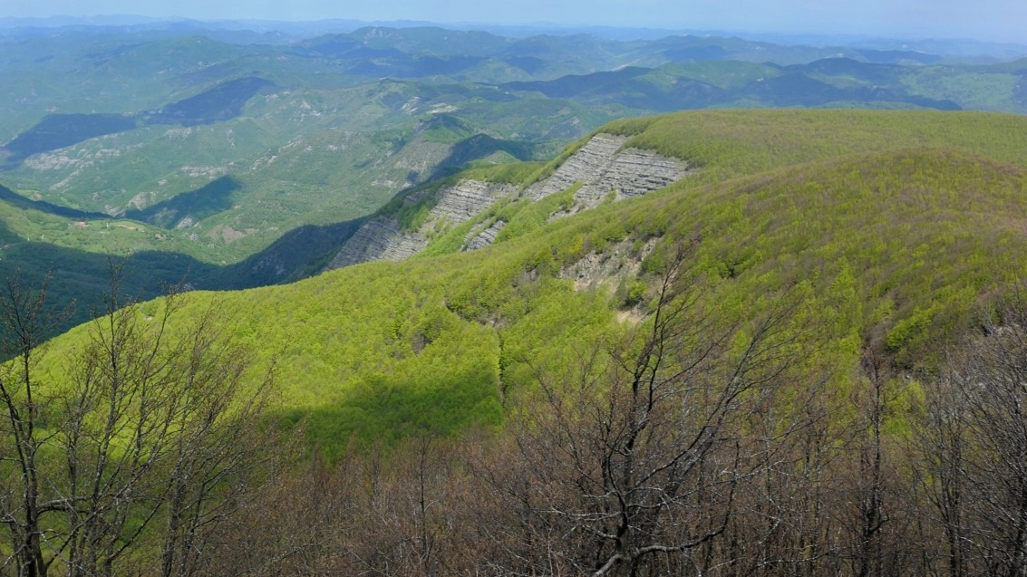 Il Parco delle Foreste Casentinesi