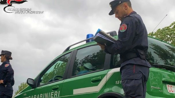 Carabinieri forestali