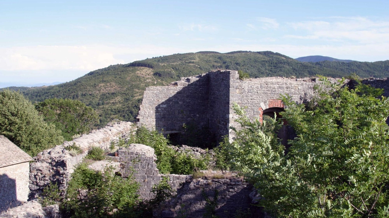 La proprietà si estende in una superficie di 310,4 ettari, e comprende boschi e arboreti da taglio con alberi da frutto La proprietà si estende in una superficie di 310,4 ettari, e comprende boschi e arboreti da taglio con alberi da frutto