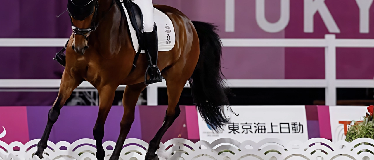 Equitazione e campioni olimpici protagonisti alla Festa dello sport a San Pietro a Vico