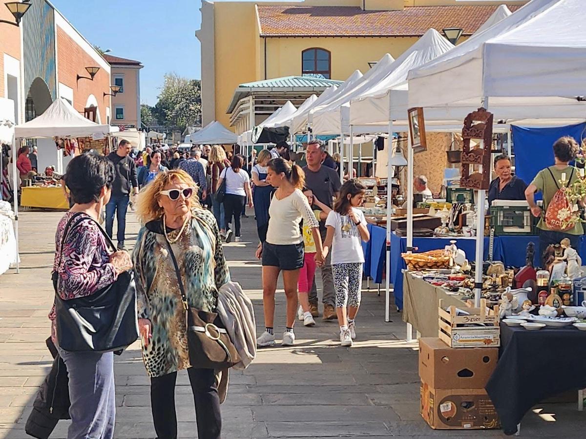 Pontedera antiqua Il passato da comprare