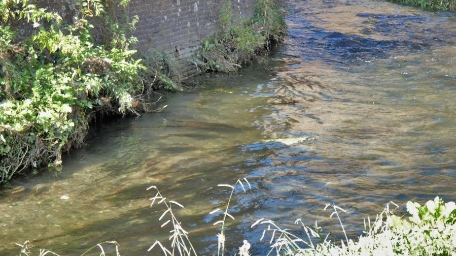 "Da alcuni anni la portata dell’acqua del fosso cittadino è stata aumentata a dismisura e, in prossimità del Baluardo San... "Da alcuni anni la portata dell’acqua del fosso cittadino è stata aumentata a dismisura e, in prossimità del Baluardo San...