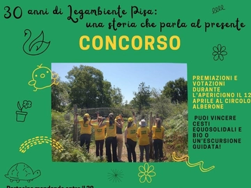 immagine articolo