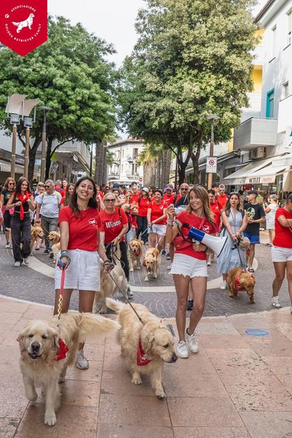 a soci arriva il raduno nazionale golden retriever