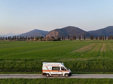 immagine articolo