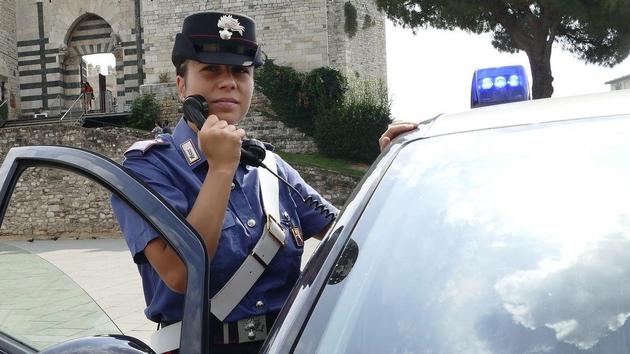 L’arresto durante. i controlli straordinari dei carabinieri Immagine di archivio L’arresto durante. i controlli straordinari dei carabinieri Immagine di archivio