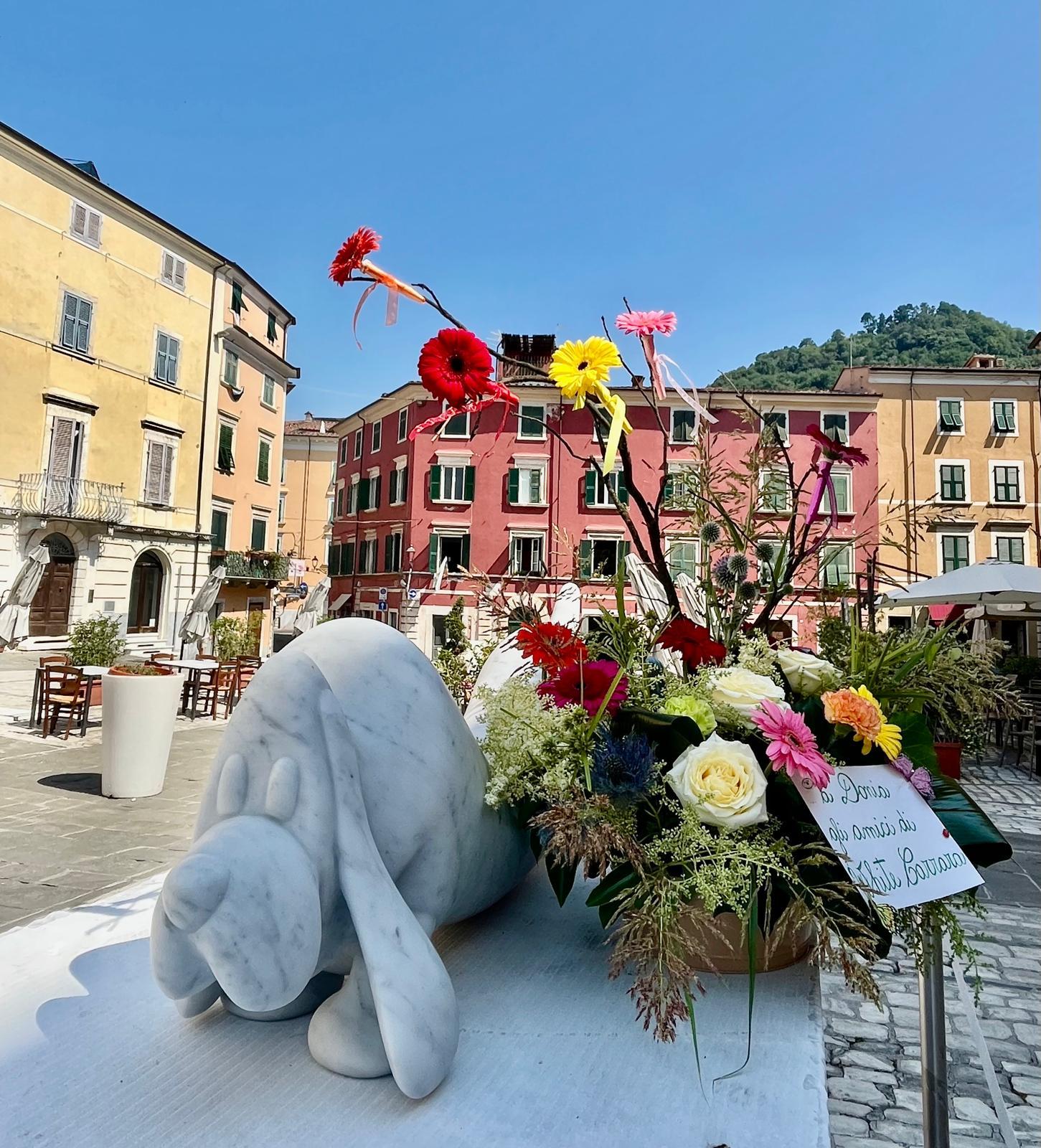 https://www.lanazione.it/image-service/view/acePublic/alias/contentid/NDkxNjI0M2ItMTdkOC00/0/carrara.jpeg