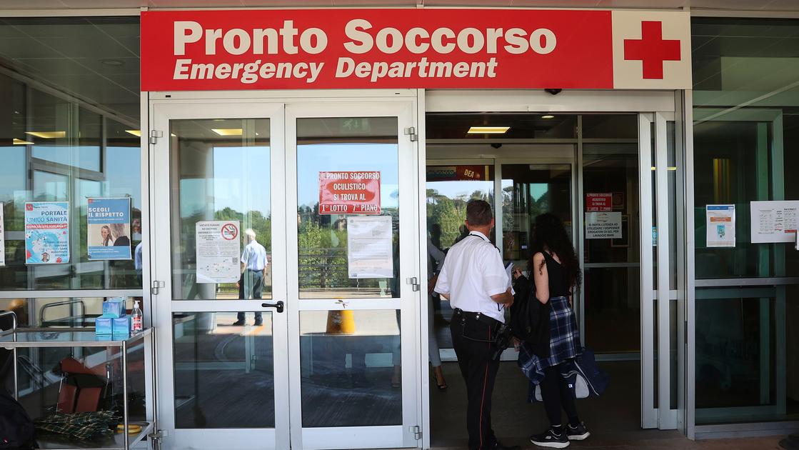 Camollia, tragedia sfiorata. I genitori: “Hanno tentato di uccidere nostro figlio, se qualcuno ha visto parli” Camollia, tragedia sfiorata. I genitori: “Hanno tentato di uccidere nostro figlio, se qualcuno ha visto parli”